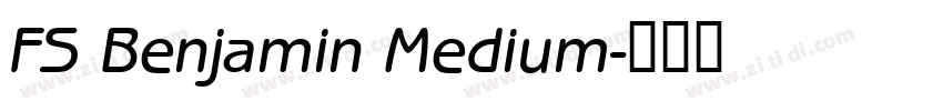 FS Benjamin Medium字体转换
